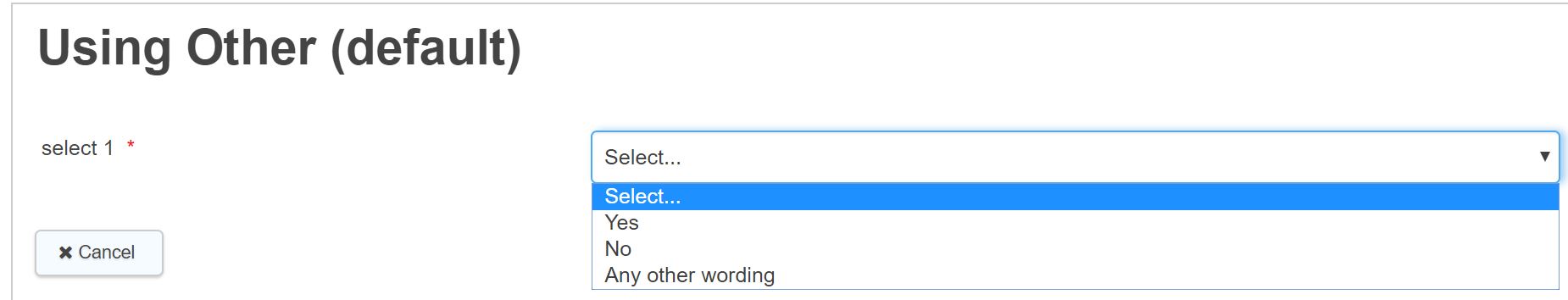 Bespoke other option
