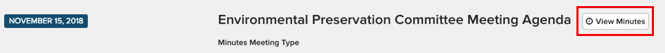 View minutes button