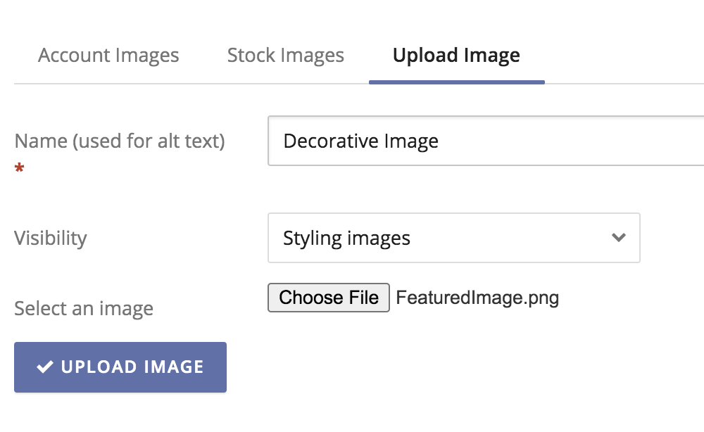 Uploading a new image to govDelivery, with 'Decorative Image' as the name, and the Visibility set to 'Styling images'