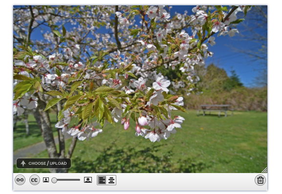 The "Image' content block in ABE, with a new toggle to left-align or center an image in the bulletin.
