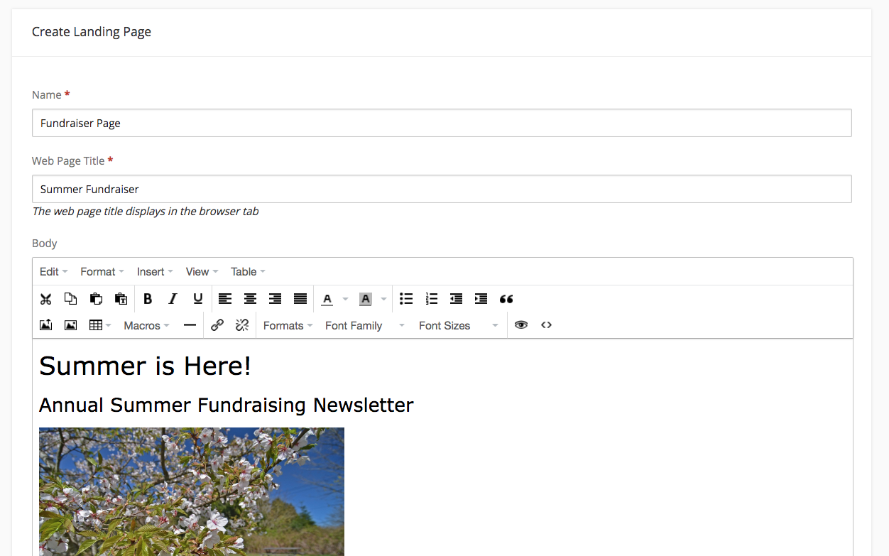 An example of a new landing page in the editor